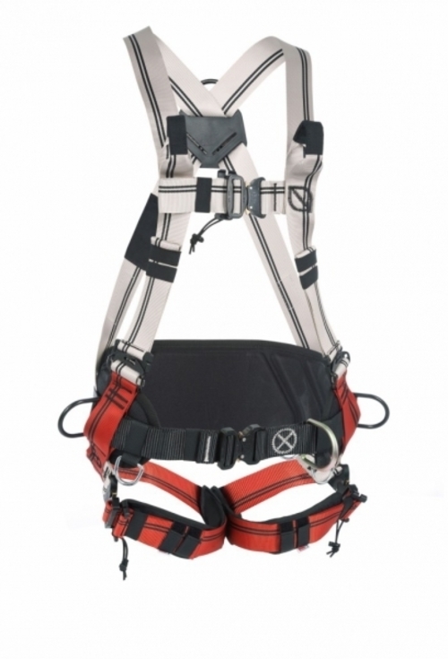 ebay-1110.jpg