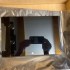 Laptop Bildschirm mit Rahmen für Dell - Sharp - LQ125M1JW31 - Touch