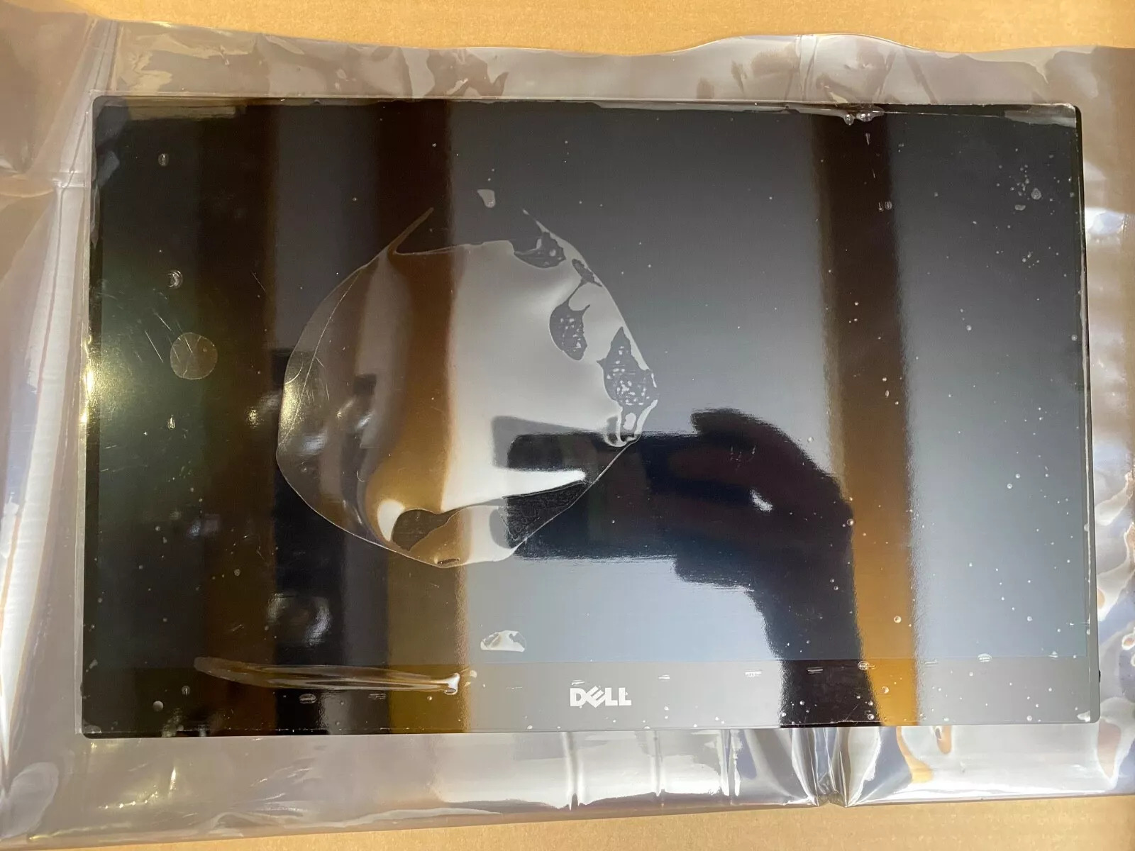 ebay-835.jpg