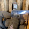 ebay-1157.jpg