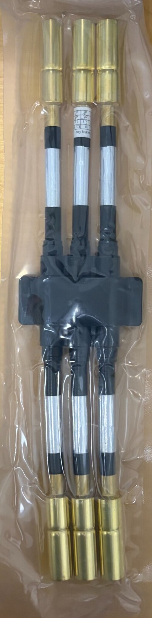 ebay-560.jpg